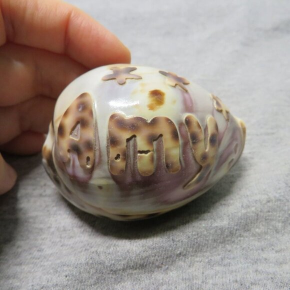 REAL Sea Shell Hand-Carved “Amy” Cowrie Shell Hawaiian - Picture 2 of 10